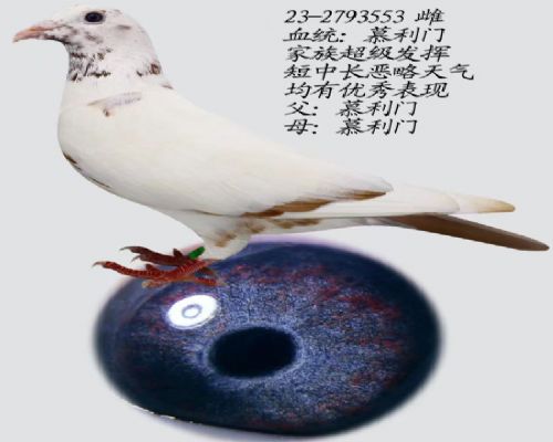 Ľ���ž�У��