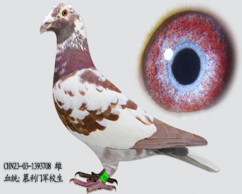 Ľ���ž�У��