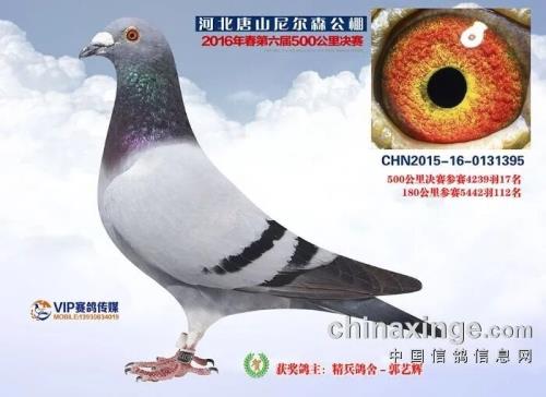 ���ɭ����17��