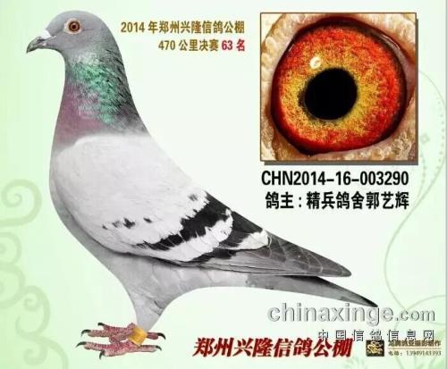 ��¡�������63��