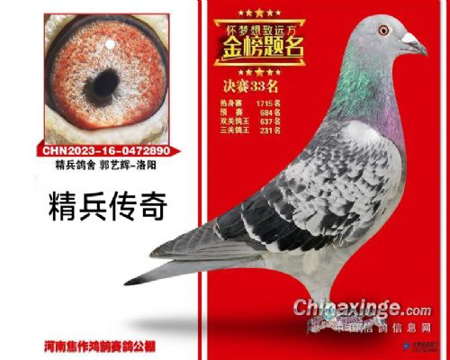 �����������33��