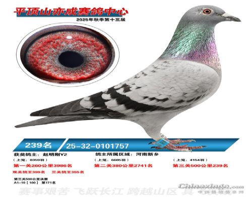 25����ɹ������239��