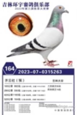 ������ֲ�4�ظ���14��