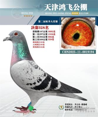 ����ɹ��ｱ��