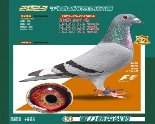 ��������ҵ