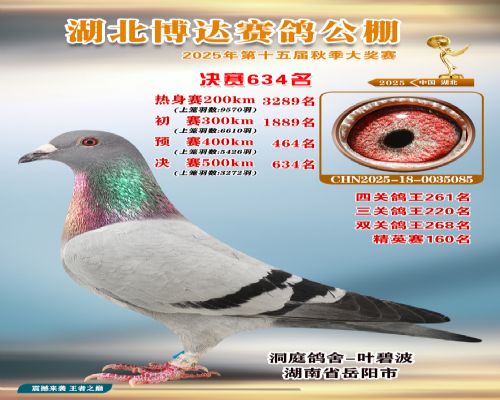 ��ͥ�̲�����