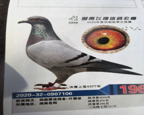 ��ͥ�̲�����