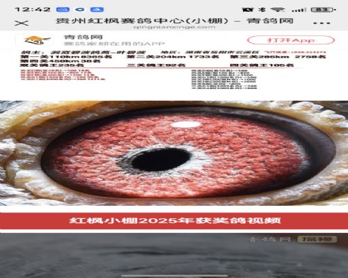 ��ͥ�̲�����