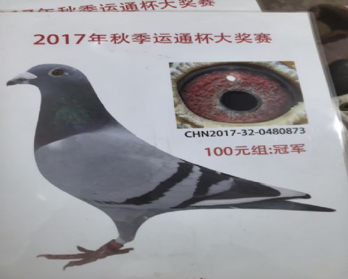 ��ͥ�̲�����