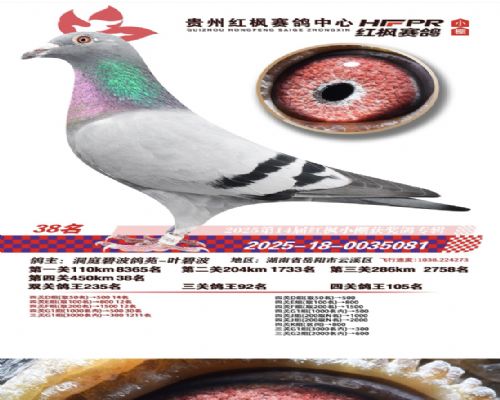 ��ͥ�̲�����