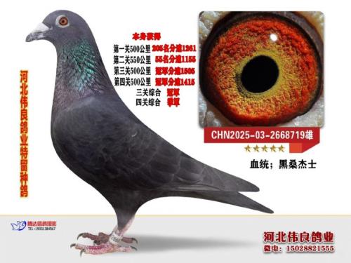 500����ھ���ɣ��ʿ