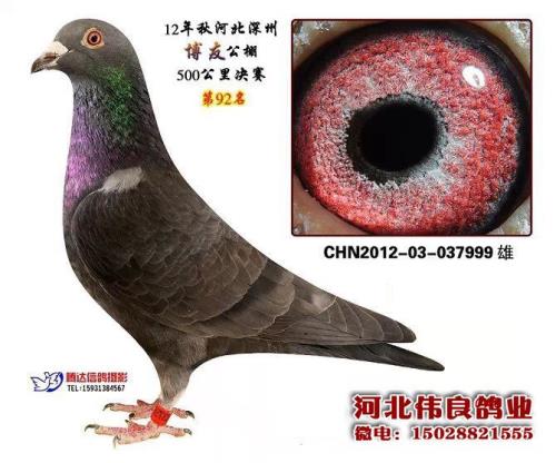 ����92��