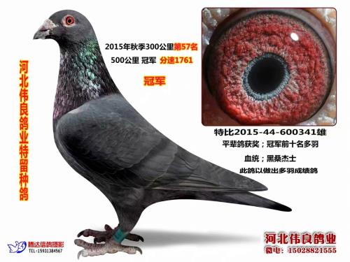 500����ھ���ɣ��ʿ