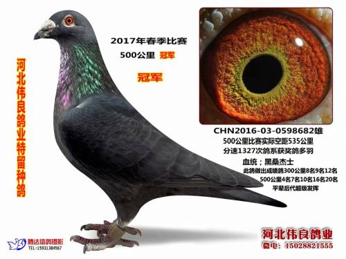 500����ھ���ɣ��ʿ