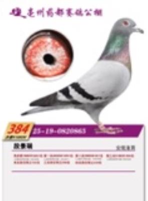 �Ҹ�ƽ����