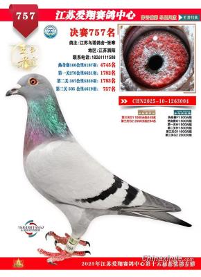 ������ŵ����