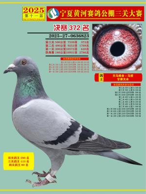 ��������-���S