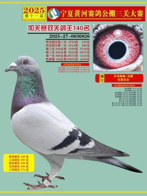 ��������-���S