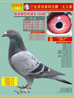 ��������-���S