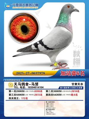 ��������-���S