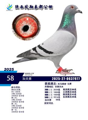 ��������-���S