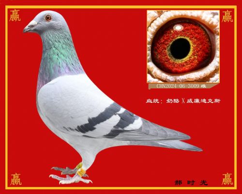 ������ʤ����-��ʱ��