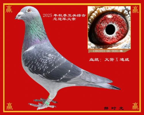 ������ʤ����-��ʱ��