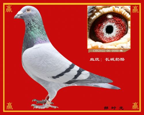 ������ʤ����-��ʱ��