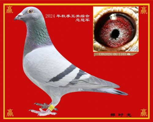 ������ʤ����-��ʱ��