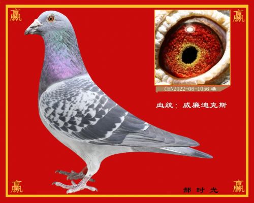 ������ʤ����-��ʱ��