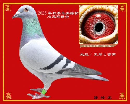 ������ʤ����-��ʱ��