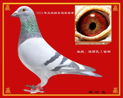 ������ʤ����-��ʱ��