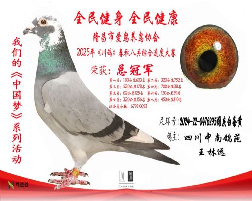 �Ĵ����ϸ�Է