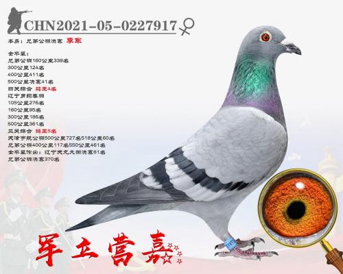 ܊��Ӫ�� ������