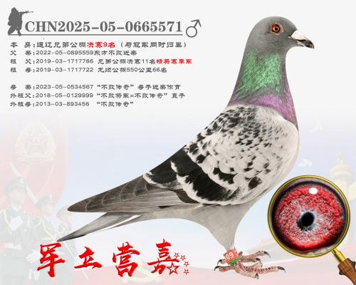 ܊��Ӫ�� ������