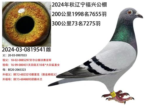 �Ҹ�ƽ����