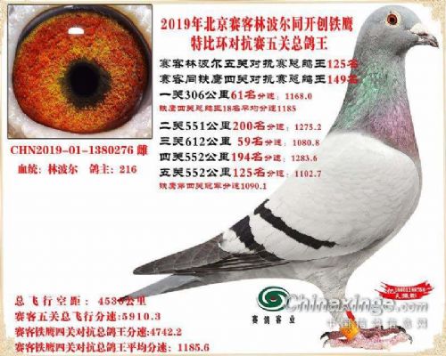 ���и���