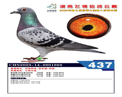 ����L����