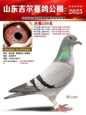 ������ҵ