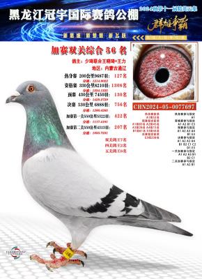 ��������Ǿ�