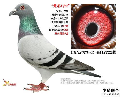 ��������6