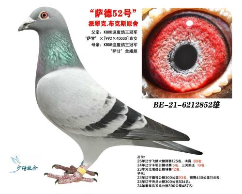 ����52�ţ����ʽ���ֱ�