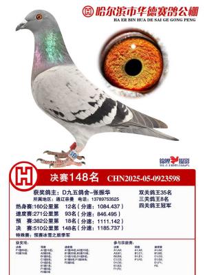 �������ϸ���