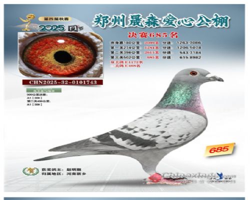 ���ٽ���