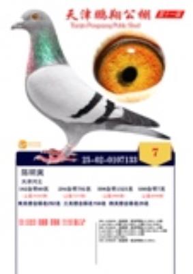 ����ʺ����