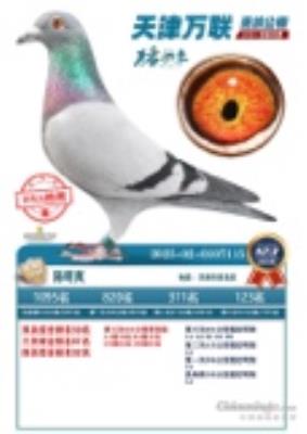 ����ʺ����