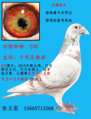 ��ѫ����238