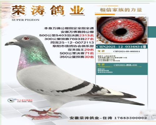 �����27��