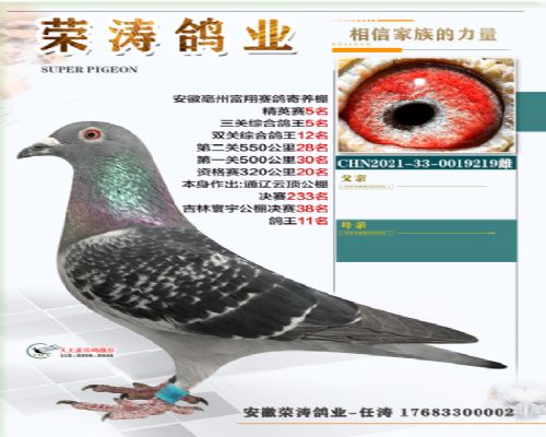 ���� 5 ��