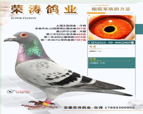 ����492��